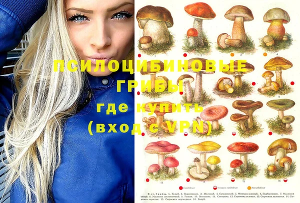 ALPHA PVP Алексеевка