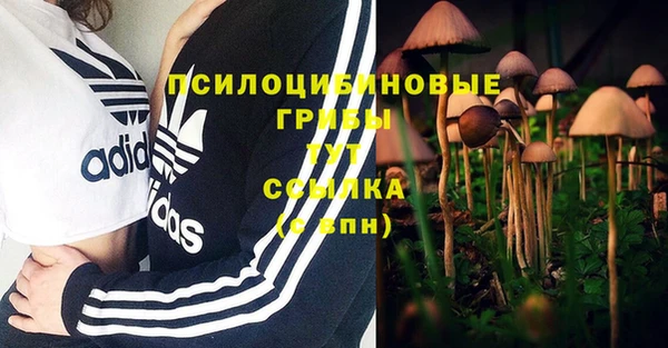 молекула духа Алексин